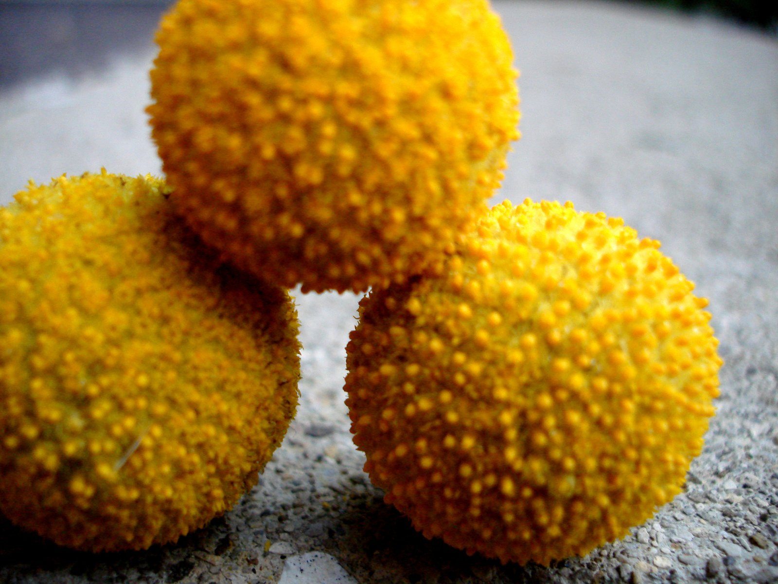 Sustaining Conversations